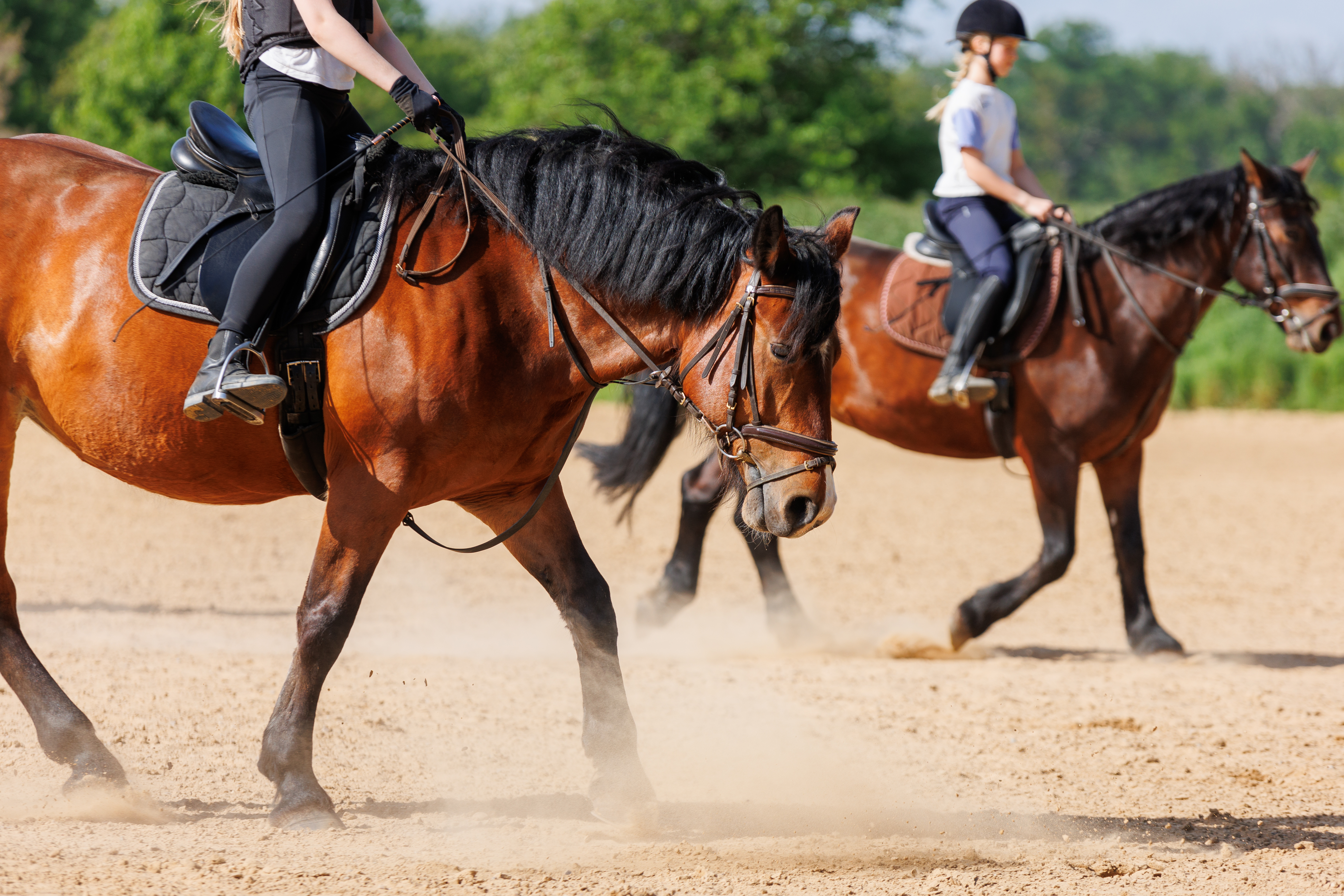 Kids riding horses