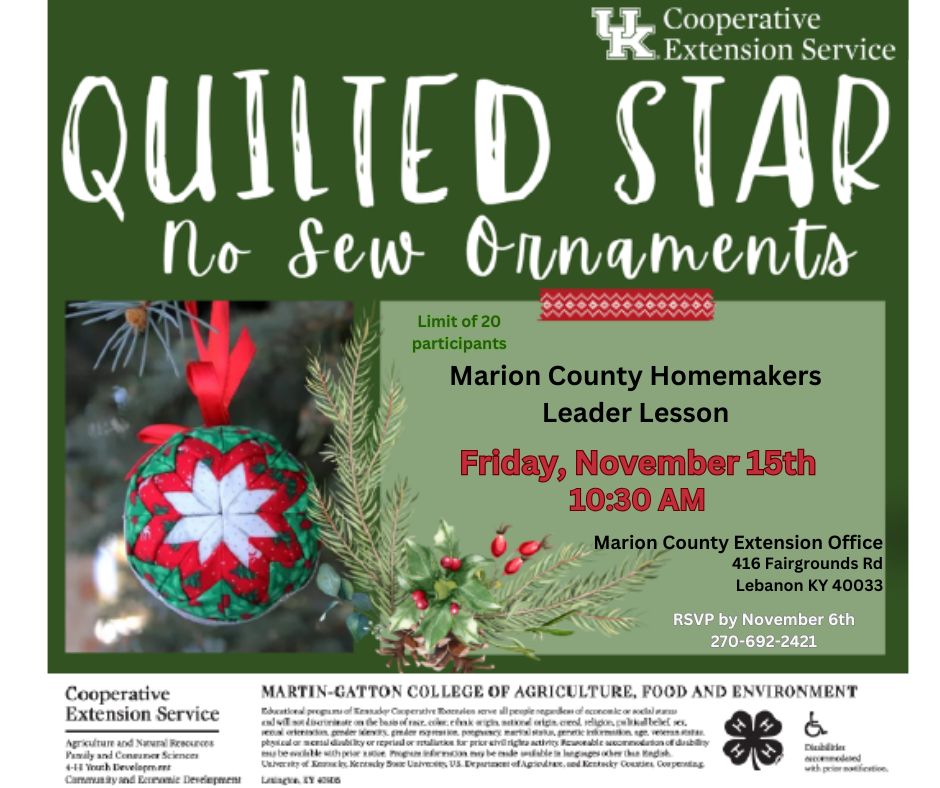 Homemaker Quilted Star Ornaments